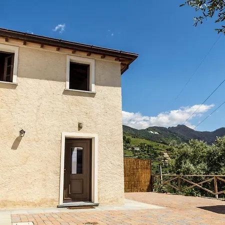 Degli Ulivi By Mmega