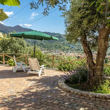 Degli Ulivi By Mmega Villa