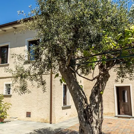 Degli Ulivi By Mmega